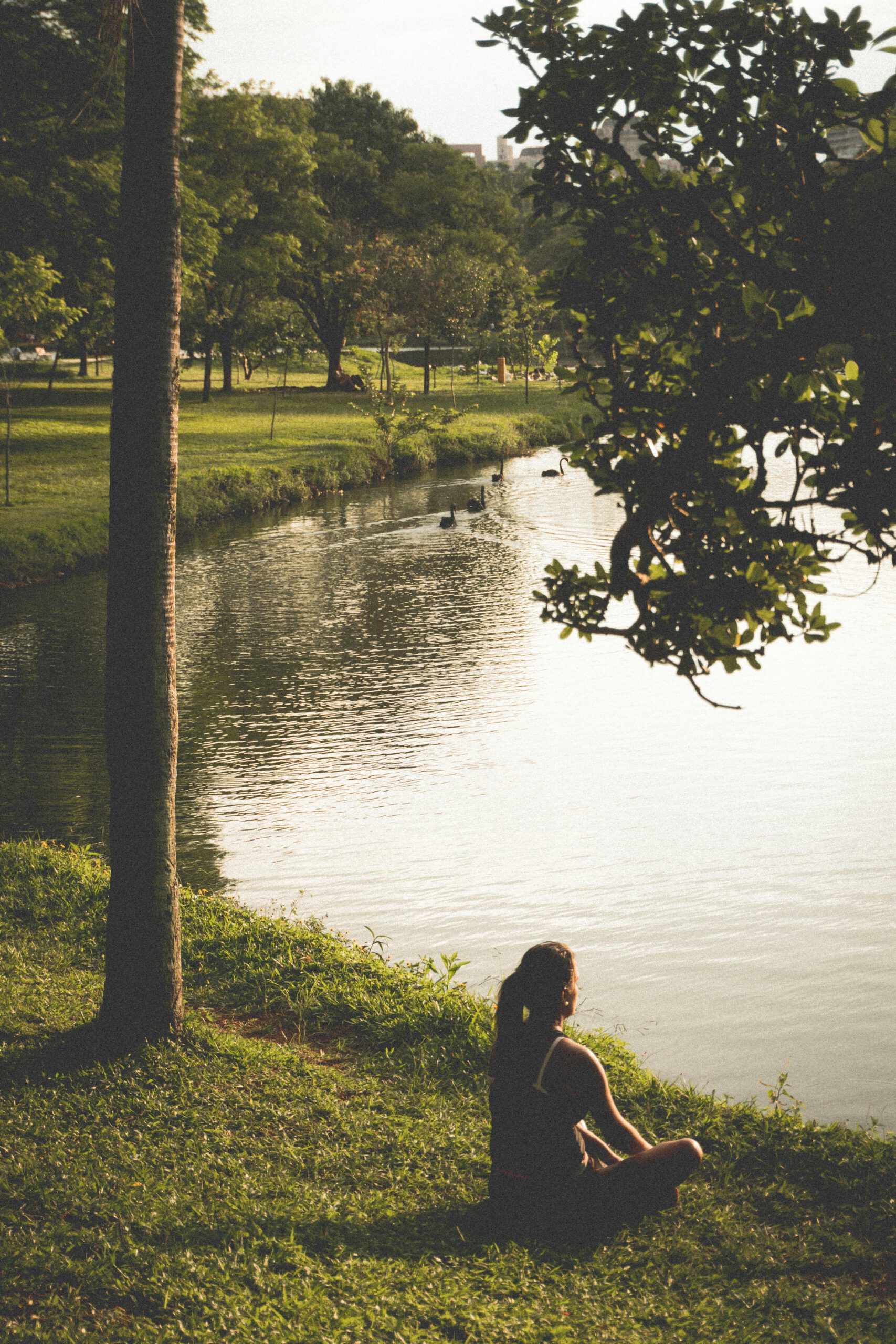 Meditatieve omgeving voor ontprikkeling – natuur en stilte